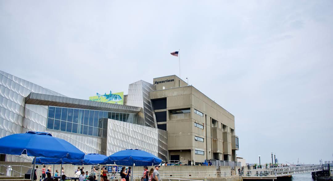 New England Aquarium